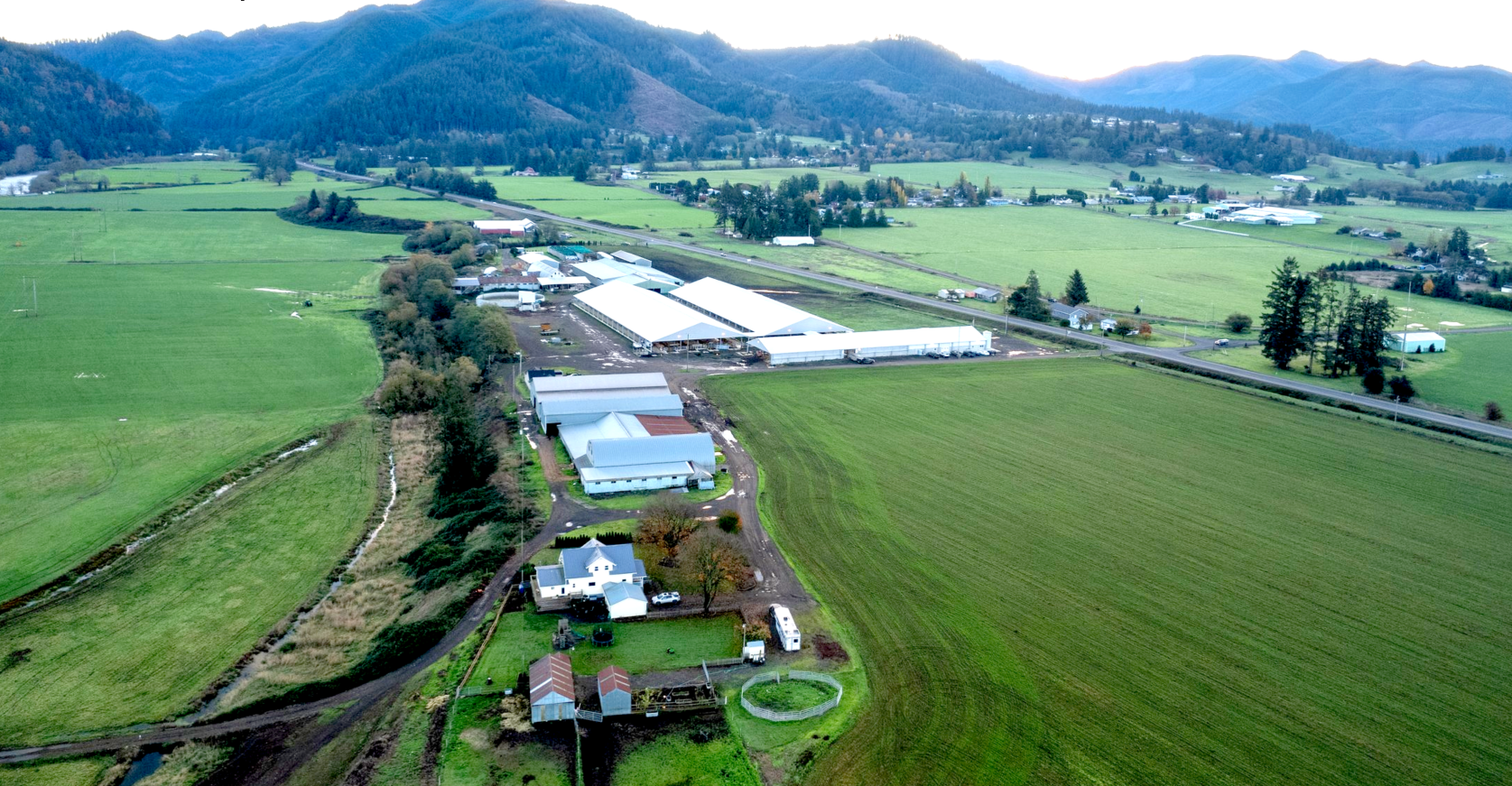 Jerseys keep Wilsonview Farm on top and on the map