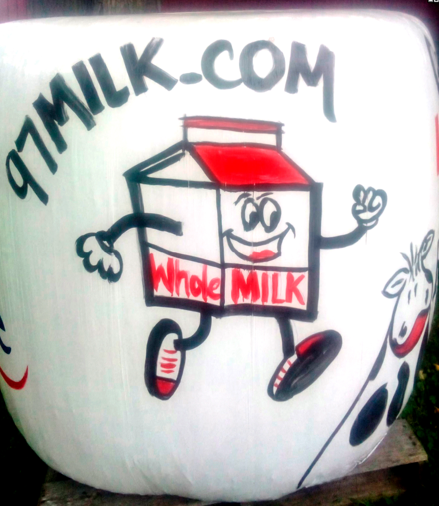 Whole milk in schools tops sections in leaked federal health strategy draft