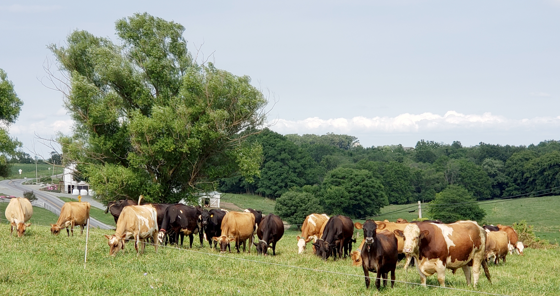 Dairy farmers are in the crosshairs with serious concerns and questions